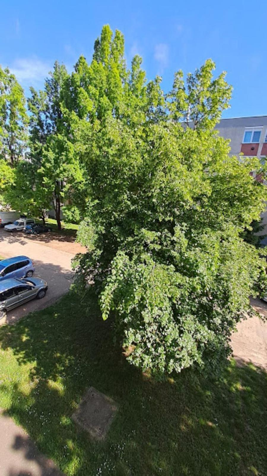 Szilfak City Apartman Hajdúszoboszló Εξωτερικό φωτογραφία
